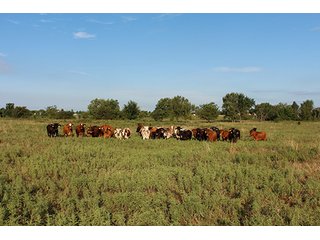 Tract 11 - LAND AUCTION - 440+/- Acres offered in 15 Tracts in Tulsa County